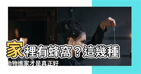 馬蜂窩風水|家裡有蜂窩吉利嗎？哪些動物進家是吉兆？